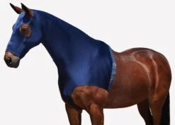 Lemieux Equestrian Supplies Shop -Lemieux Equestrian Supplies Shop 589538