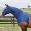 Weatherbeeta Stretch Hood With Zip - Navy 2 Weatherbeeta Stretch Hood With Zip - Navy -Lemieux Equestrian Supplies Shop 589538rdy
