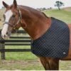 Weatherbeeta Deluxe Shoulder Guard - Black 2 Weatherbeeta Deluxe Shoulder Guard - Black -Lemieux Equestrian Supplies Shop 589563rdy