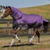Weatherbeeta ComFiTec Plus Dynamic Detach-A-Neck Med - Purple/Black 1 Weatherbeeta ComFiTec Plus Dynamic Detach-A-Neck Med - Purple/Black -Lemieux Equestrian Supplies Shop 801159rdy