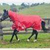 Weatherbeeta ComFiTec Classic Combo Heavy - Red/Silver/Navy 1 Weatherbeeta ComFiTec Classic Combo Heavy - Red/Silver/Navy -Lemieux Equestrian Supplies Shop 801493rdy