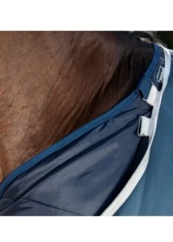 Amigo AmECO 12 Plus Turnout 100g Lite - Teal/Grey -Lemieux Equestrian Supplies Shop amecoplusturnout2rdy