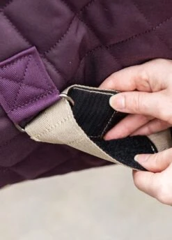 Amigo Stable Plus Medium Disc - Fig -Lemieux Equestrian Supplies Shop amgostableplus2rdy