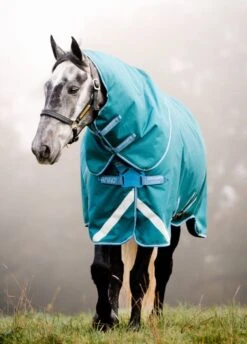 Amigo Bravo 12 Plus 100g Turnout Disc Front - Storm Green