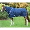 Amigo Insulator Medium (Inc Hood) - Navy/Silver -Lemieux Equestrian Supplies Shop amigo insulator med inchood navy 1rdy