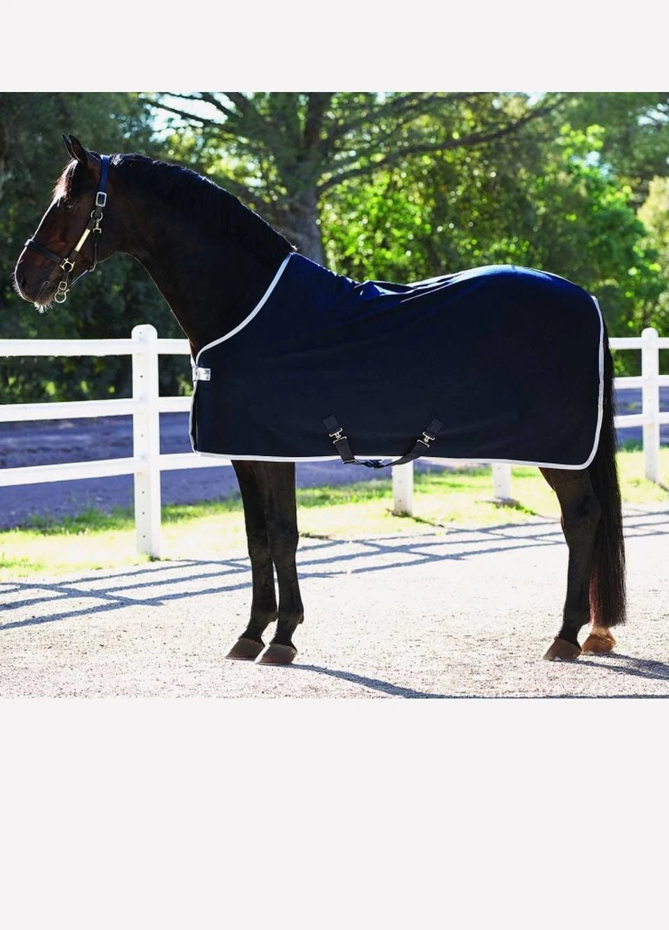 Amigo Jersey Cooler Rug - Navy/Silver 3 Amigo Jersey Cooler Rug - Navy/Silver