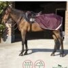 Amigo Ripstop Competition Sheet - Fig/Navy/Tan -Lemieux Equestrian Supplies Shop amigocompsheetfigrdy