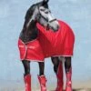 Amigo Jersey Cooler Rug - Red/White/Green 1 Amigo Jersey Cooler Rug - Red/White/Green -Lemieux Equestrian Supplies Shop amigocooler.red .rdy