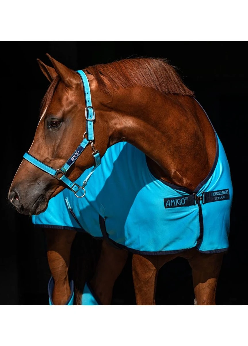 Amigo Jersey Cooler - Delphinium 4 Amigo Jersey Cooler - Delphinium - Image 2