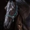 Amigo Headcollar - Black/Teal 1 Amigo Headcollar - Black/Teal -Lemieux Equestrian Supplies Shop amigohc1