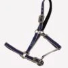 Amigo Headcollar - Atlantic -Lemieux Equestrian Supplies Shop amigohcatlanticrdy