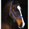 Amigo Headcollar - Navy/Silver -Lemieux Equestrian Supplies Shop amigoheadcollar navy slv
