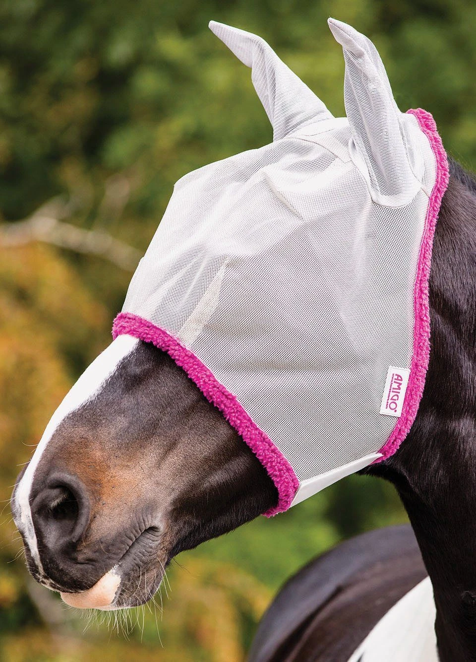 Amigo Fly Mask - Silver/Purple 3 Amigo Fly Mask - Silver/Purple