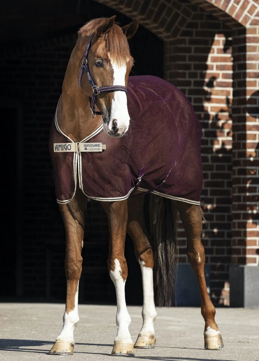 Amigo Net Cooler - Fig 3 Amigo Net Cooler - Fig