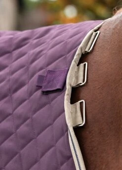 Amigo Stable Plus Medium Disc - Fig -Lemieux Equestrian Supplies Shop amigostableplusrdy