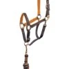 Anky Halter & Lead - Dark Navy -Lemieux Equestrian Supplies Shop ankyheadcollarnavyorangerdy