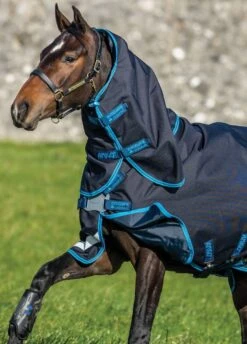Amigo Bravo Plus 50g Turnout Bundle - Dark Navy/Electric Blue -Lemieux Equestrian Supplies Shop bravobundledetailrdy