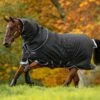 Amigo Bravo 12 Plus Medium Turnout - Black/Strong Blue & Black -Lemieux Equestrian Supplies Shop bravoplusmedblkstrblrdy