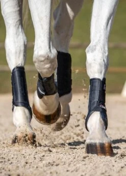 Lemieux Equestrian Supplies Shop 30 Lemieux Equestrian Supplies Shop -Lemieux Equestrian Supplies Shop carbonxclifestylerdy