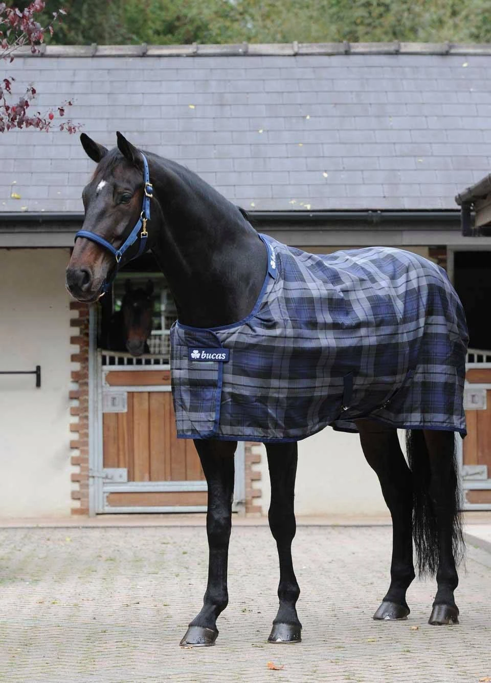Bucas Celtic Stable Light - Grey Tartan 3 Bucas Celtic Stable Light - Grey Tartan