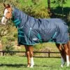 Weatherbeeta ComFiTec Classic Combo Medium Turnout - Black/Green