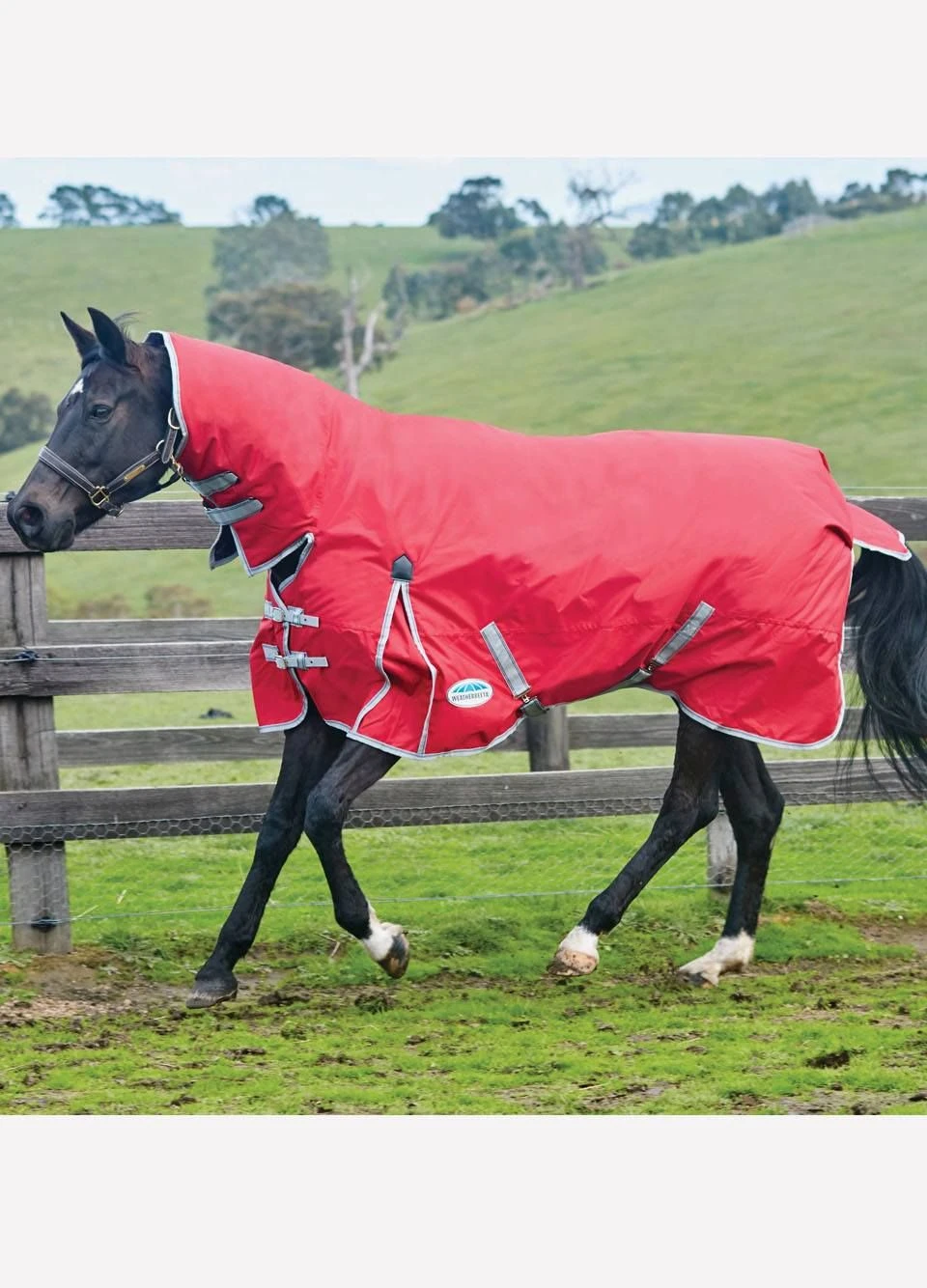 WeatherBeeta ComFiTec Classic Combo Neck Lite - Red/Silver/Navy 3 WeatherBeeta ComFiTec Classic Combo Neck Lite - Red/Silver/Navy