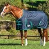 Weatherbeeta ComFiTec Classic Standard Neck Medium Turnout - Black/Green -Lemieux Equestrian Supplies Shop classicstdblkrdy