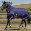 Weatherbeeta ComFiTec Essential Combo Lite Plus Turnout Rug - Navy/Silver/Red -Lemieux Equestrian Supplies Shop comfittecessentilliteplus