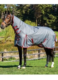 Weatherbeeta ComFiTec Plus Dynamic Combo Heavy Turnout - Grey/Burgundy