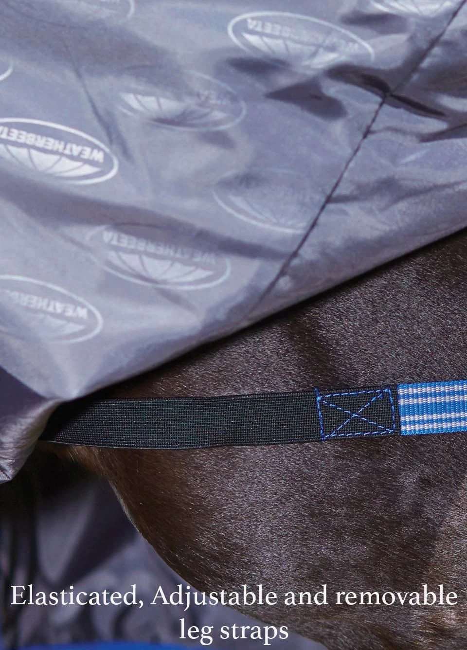 Weatherbeeta ComFiTec Plus Dynamic Combo Medium Turnout - Purple/Black 9 Weatherbeeta ComFiTec Plus Dynamic Combo Medium Turnout - Purple/Black - Image 7