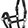 Eskadron Shinegloss Headcollar - Black -Lemieux Equestrian Supplies Shop esk shinegloss headcollar black 1rdy