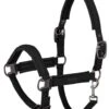 Eskadron Doublepin Softshell Headcollar - Black -Lemieux Equestrian Supplies Shop eskadronheadcollarblackrdy