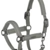 Eskadron Doublepin Softshell Headcollar - Light Olive -Lemieux Equestrian Supplies Shop eskadronheadcollarlightolive2rdy