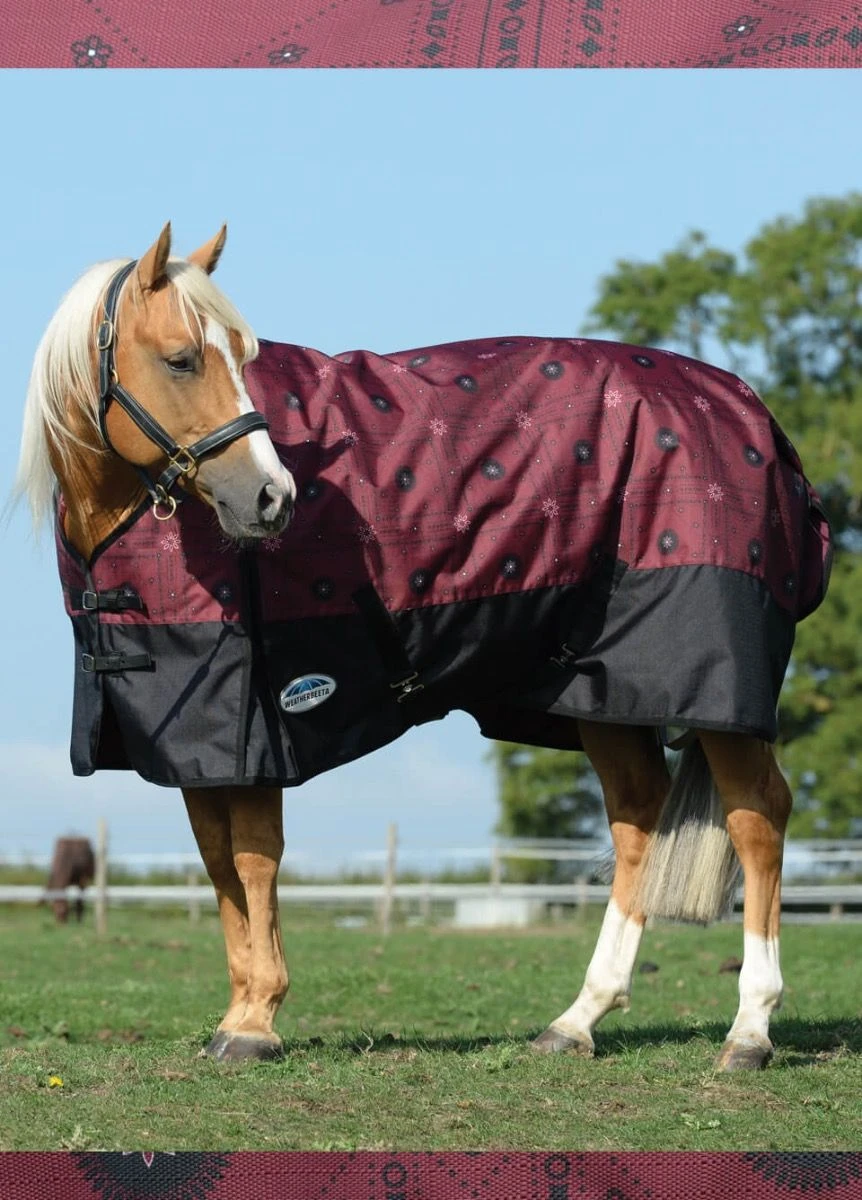 Weatherbeeta Comfitec Essential Standard Neck Medium Turnout- Burgundy Bandana Print/Black 3 Weatherbeeta Comfitec Essential Standard Neck Medium Turnout- Burgundy Bandana Print/Black
