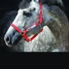 Horseware Fieldsafe Headcollar - Red -Lemieux Equestrian Supplies Shop fieldsafered