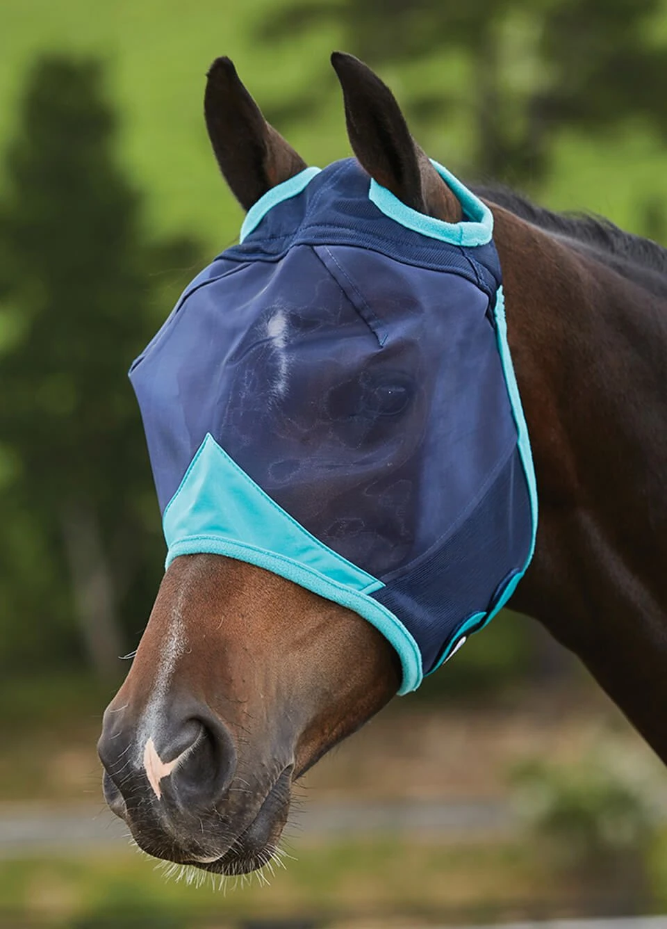 Weatherbeeta ComFiTec Fine Mesh Fly Mask Without Ears - Navy/Turquoise 3 Weatherbeeta ComFiTec Fine Mesh Fly Mask Without Ears - Navy/Turquoise