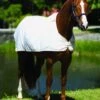 Horseware Fly Rug Liner - White -Lemieux Equestrian Supplies Shop flyrugliner 1