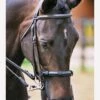 Equilibrium Net Relief Muzzle Net -Black 1 Equilibrium Net Relief Muzzle Net -Black -Lemieux Equestrian Supplies Shop fm 2012 02 16 11 39 16 69964