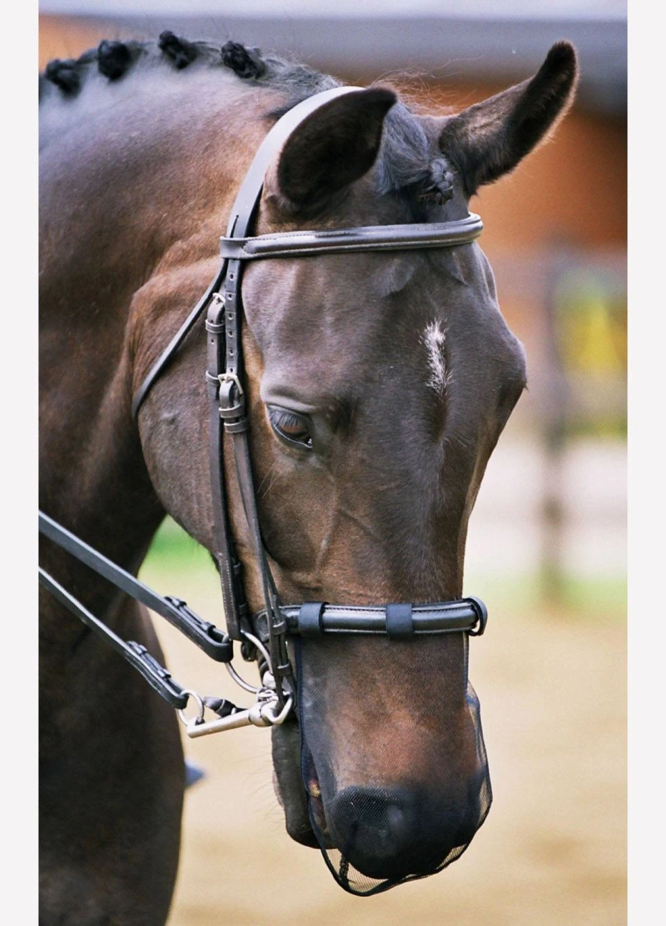 Equilibrium Net Relief Muzzle Net -Black 3 Equilibrium Net Relief Muzzle Net -Black