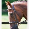 Equilibrium Net Relief Muzzle Net -Brown 2 Equilibrium Net Relief Muzzle Net -Brown -Lemieux Equestrian Supplies Shop fm 2012 02 16 11 39 53 27488