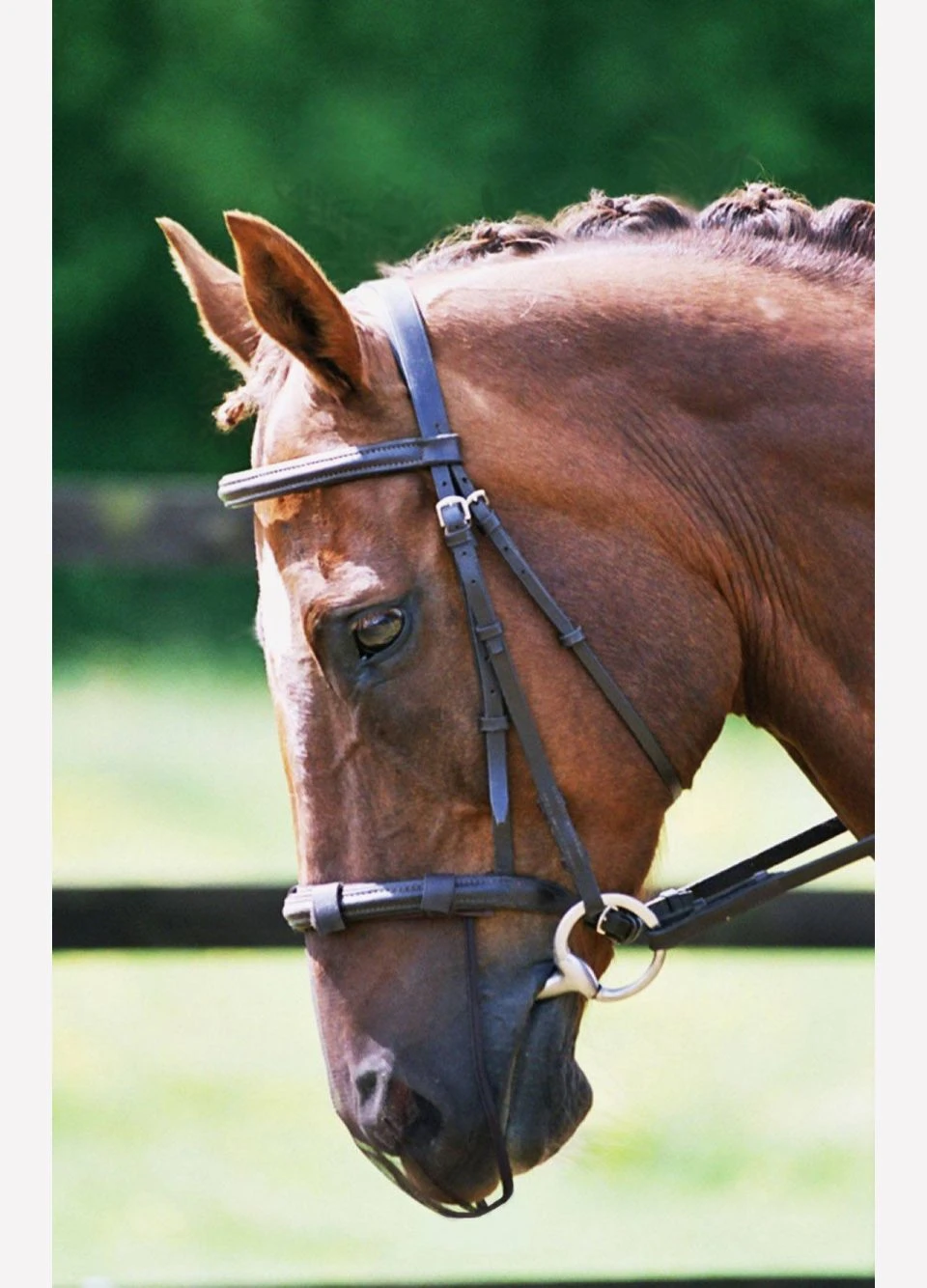 Equilibrium Net Relief Muzzle Net -Brown 3 Equilibrium Net Relief Muzzle Net -Brown