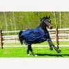 Amigo Bravo 12 100g Turnout Rug - Navy/Electric Blue -Lemieux Equestrian Supplies Shop fm 2013 03 07 03 03 20 59387