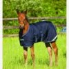 Amigo Foal Turnout/Stable Rug - Navy 1 Amigo Foal Turnout/Stable Rug - Navy -Lemieux Equestrian Supplies Shop fm 2013 04 05 07 06 07 84955
