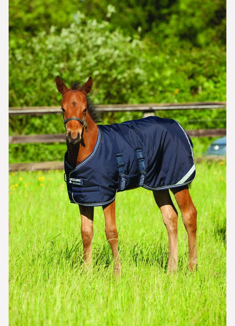 Amigo Foal Turnout/Stable Rug - Navy 3 Amigo Foal Turnout/Stable Rug - Navy