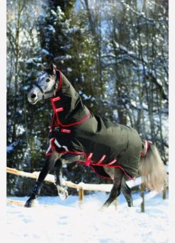 Rambo Supreme Vari-Layer Heavy Turnout Rug 450g - Black/Red -Lemieux Equestrian Supplies Shop fm 2014 01 15 04 30 46 67142