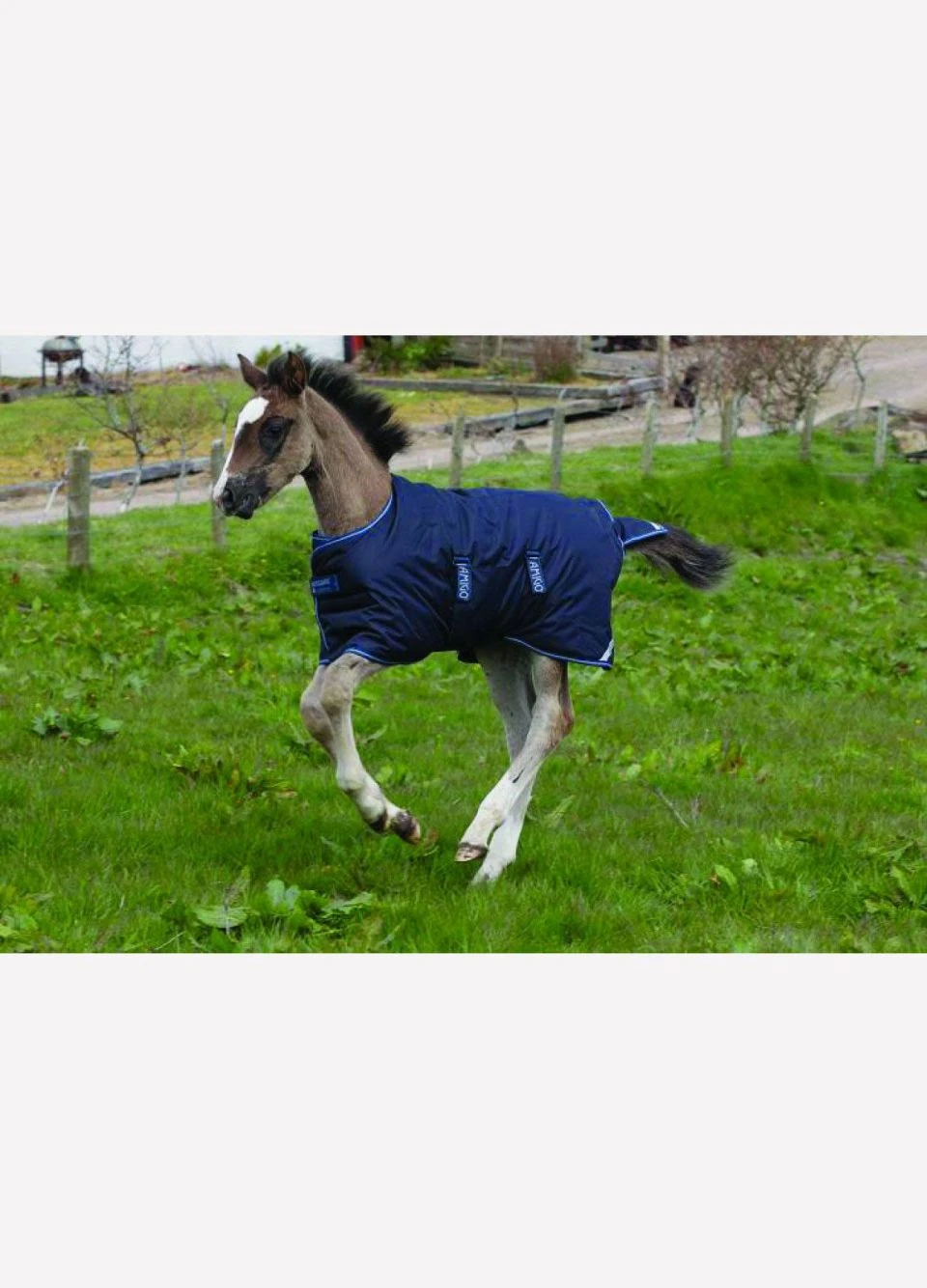 Amigo Foal Turnout/Stable Rug - Navy 4 Amigo Foal Turnout/Stable Rug - Navy - Image 2