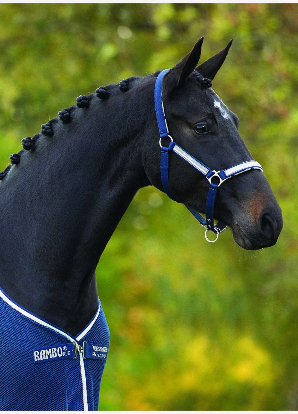 Rambo Grand Prix Headcollar - Navy/Blue 3 Rambo Grand Prix Headcollar - Navy/Blue