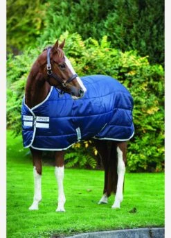Amigo Medium Insulator Rug - Navy -Lemieux Equestrian Supplies Shop fm 2014 07 27 02 43 48 41254