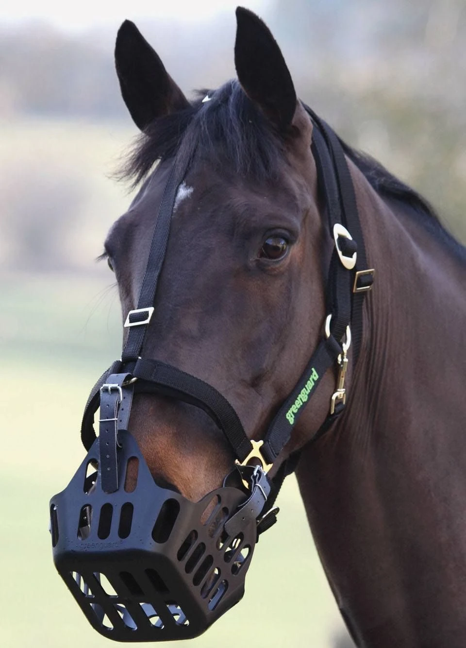 Greenguard Muzzle - Black 3 Greenguard Muzzle - Black