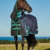 Weatherbeeta Green-Tec 900D Detach-A-Neck Heavy Turnout - Black/Bottle Green -Lemieux Equestrian Supplies Shop greentechdanhvyrdy